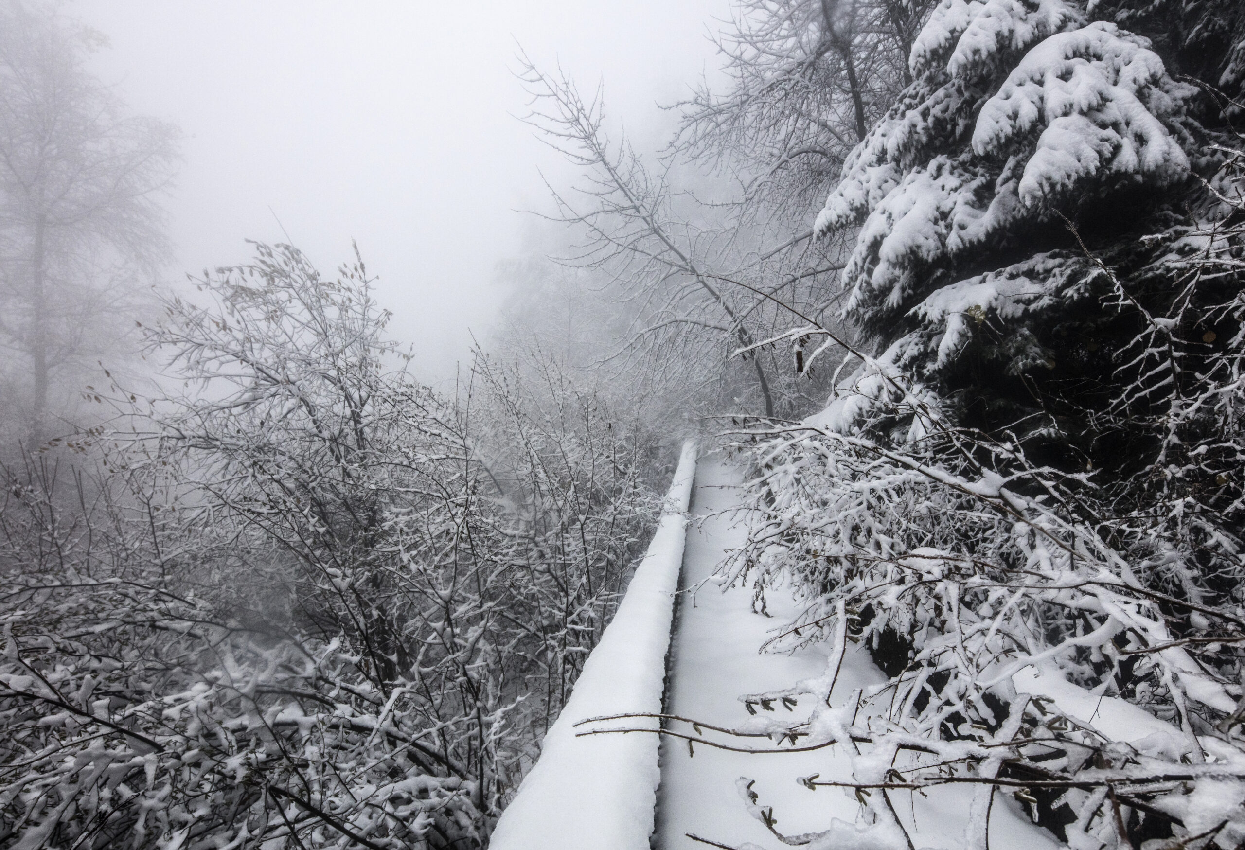 Bobsleigh Tracks