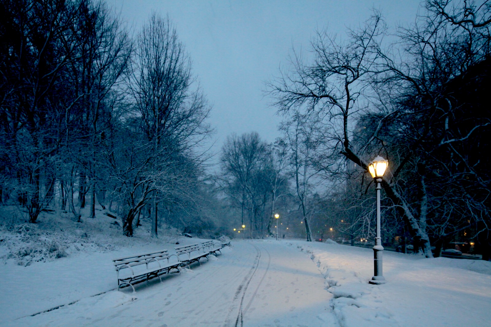 Central Park